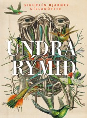 Sigurlín Bjarney Gísladóttir: Undrarýmið 