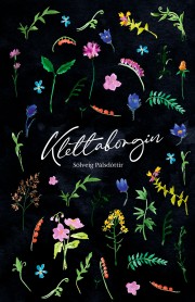 Sólveig Pálsdóttir: Klettaborgin 