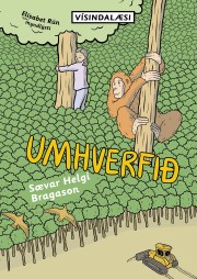 Sævar Helgi Bragason: Umhverfið