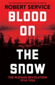 Robert Service: Blood on the snow : the Russian revolution 1914-1924 