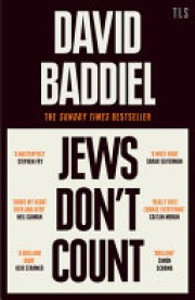 David Baddiel: Jews don't count : how identity politics failed one particular identity 