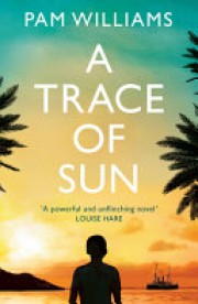 Pam Williams: A trace of sun 