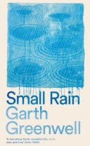Garth Greenwell: Small rain 