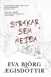 Eva Björg Ægisdóttir: Strákar sem meiða 