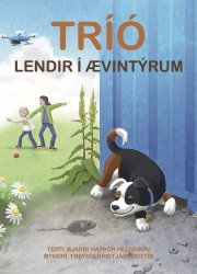 Bjarni Hafþór Helgason: Tríó lendir í ævintýrum 