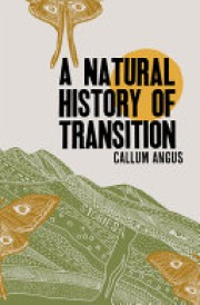 Callum Angus: A natural history of transition : stories 