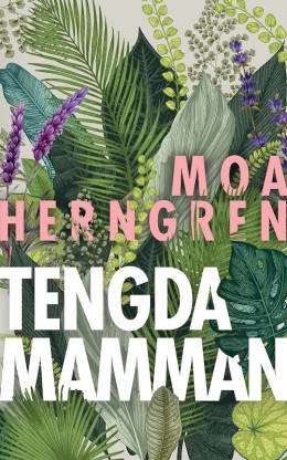 Moa Herngren: Tengdamamman 