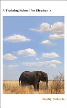 Sophy Roberts: A training school for elephants 