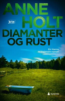 Anne Holt: Diamanter og rust : en Hanne Wilhelmsen-roman 