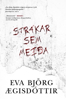 Eva Björg Ægisdóttir: Strákar sem meiða 