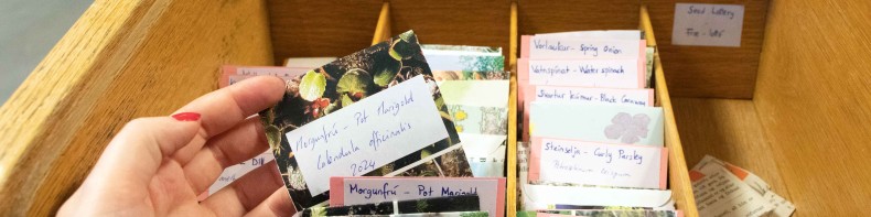 seed pouches in the seed library
