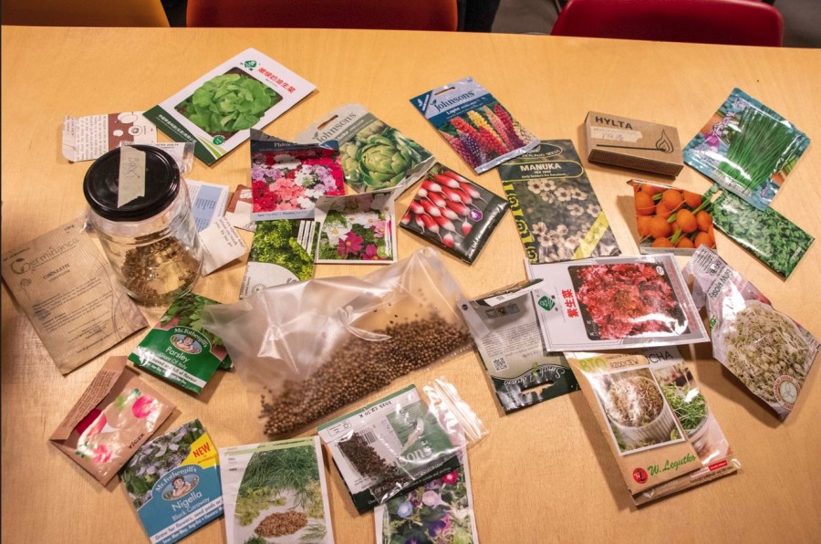 seeds