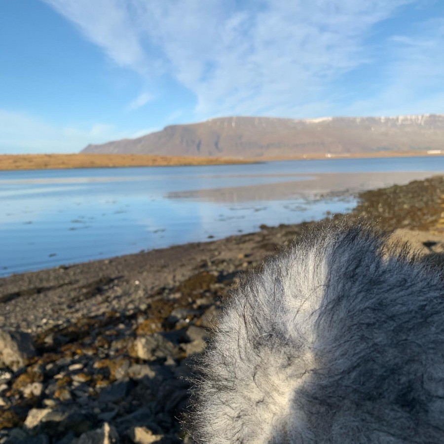 #leggjumviðhlustir