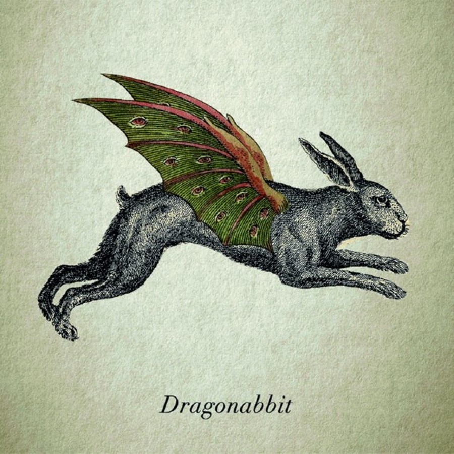 Dragonabbit Dragonabbit