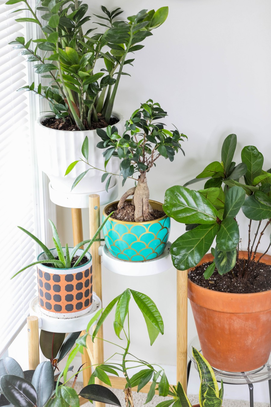 A house without plants feels incomplete Plant swap