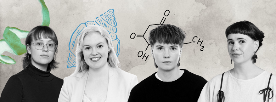 Annar Rós, Birgitta Björg, Þórdís Dröfn og Brynja.