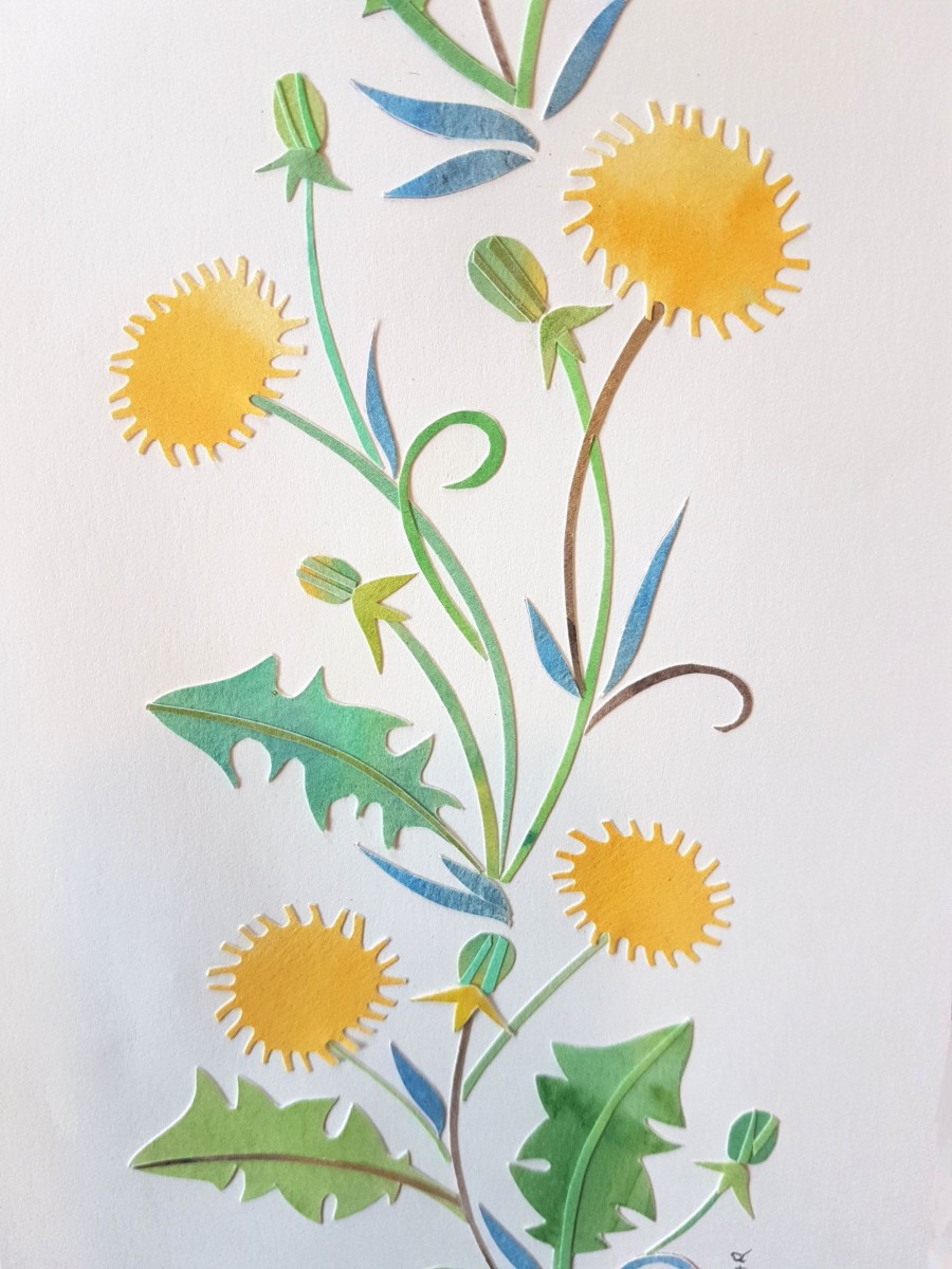 Exhibition | Beauty in the weeds Dandelions and buttercups. Kristín Arngrímsdóttir exhibits