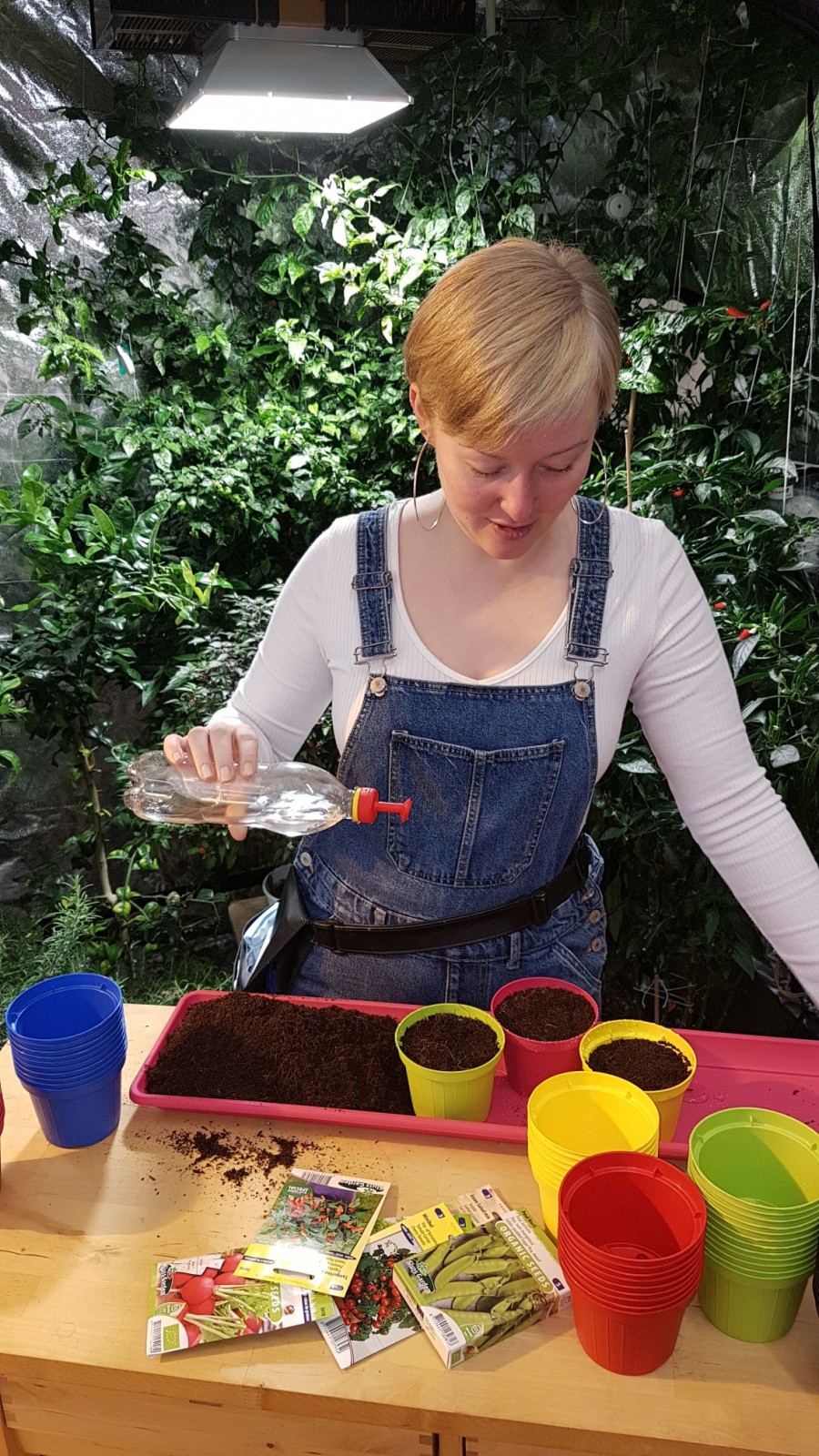 There are four main factors that can affect the growth of your plants María Norðdahl presents the cultivation of plants for all year round