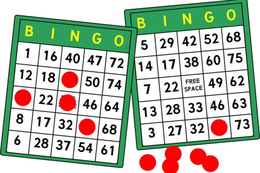 Bingo Bingo