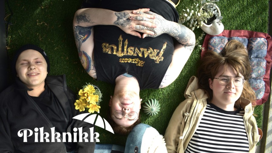 Pikknikk með Samtökunum '78