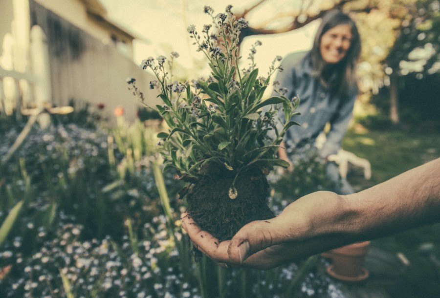 Gardening