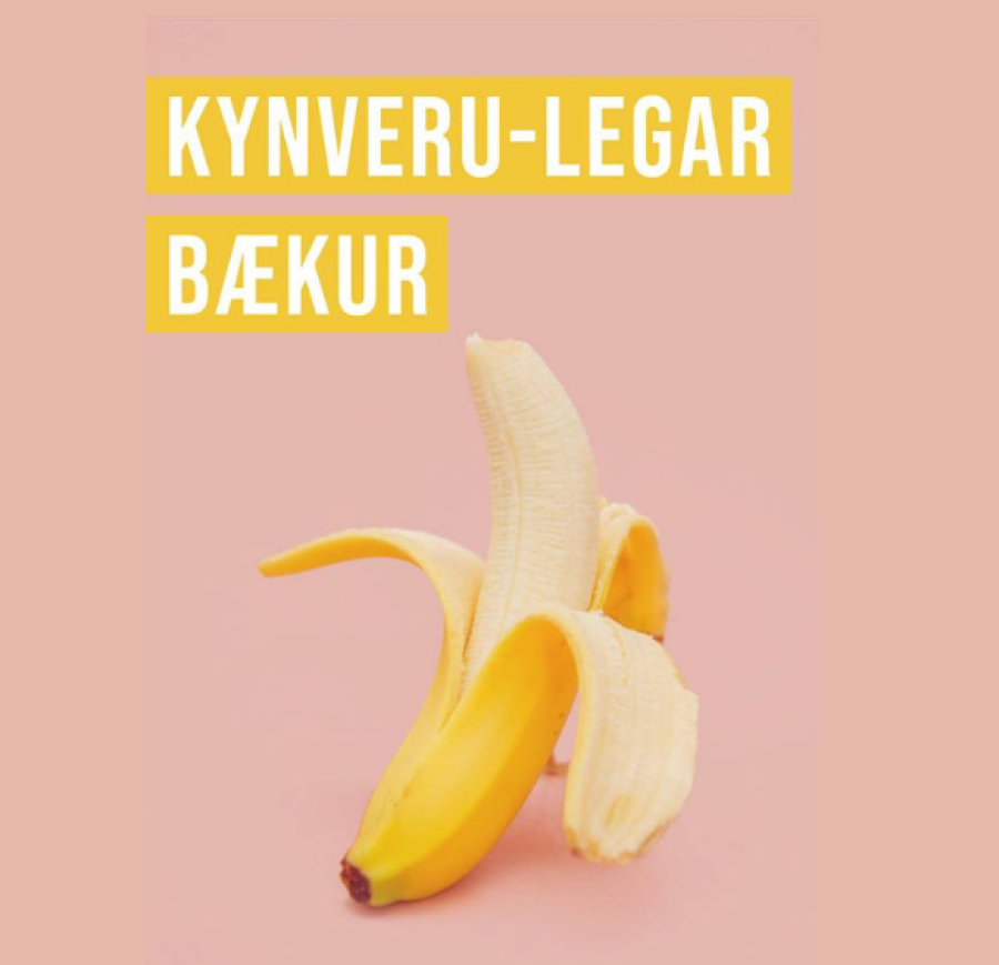 Kynverulegar bækur, KynVera, leslisti fyrir ungt fólk, Ungfó